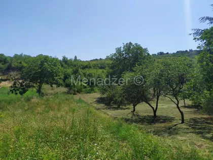 Bagremova | 4zida.rs