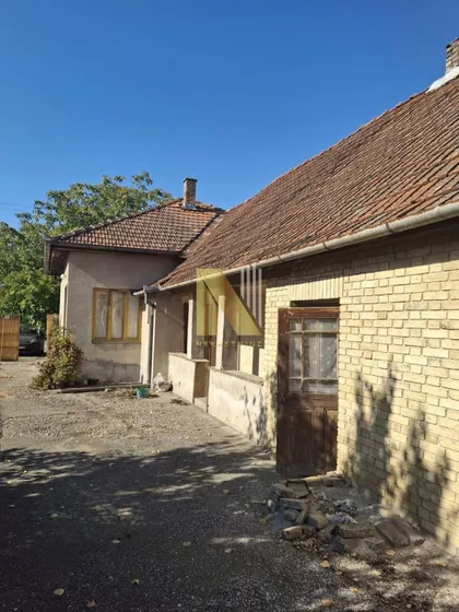 Pačir | 4zida.rs