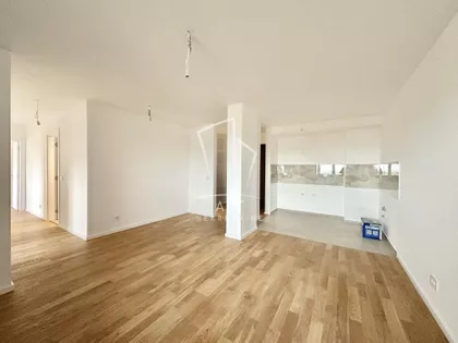 Dragoslava Srejovića | 4zida.rs