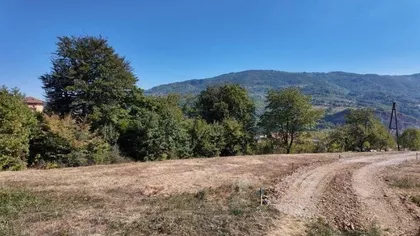 Mijoska | 4zida.rs