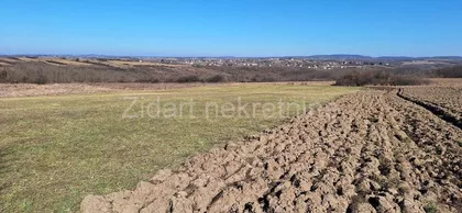 Manić | 4zida.rs