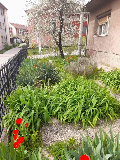 Svetosavska 15 | 4zida.rs