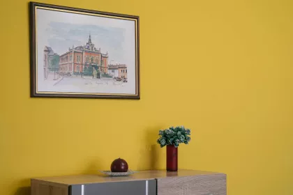 Skerlićeva | 4zida.rs