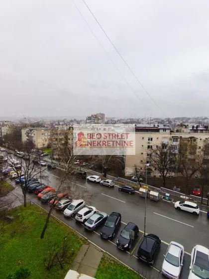 Ljuba Vuckovica | 4zida.rs