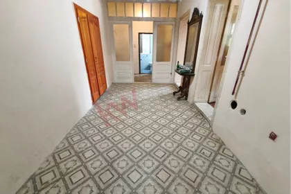 Petra Drapšina | 4zida.rs