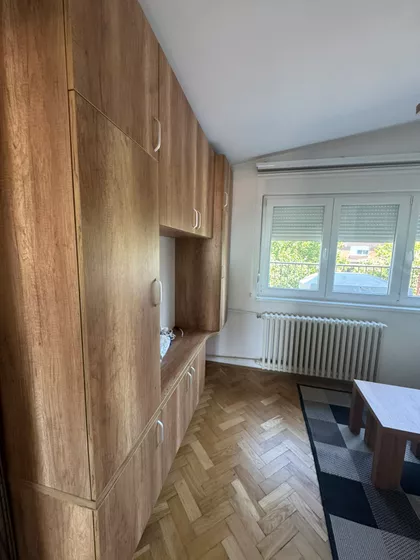 Žarka Vasiljevića | 4zida.rs