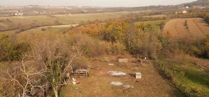 Kosmajska | 4zida.rs