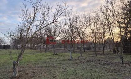 Palić | 4zida.rs