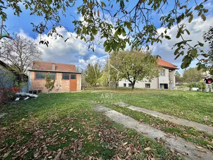 Žarka Savića | 4zida.rs