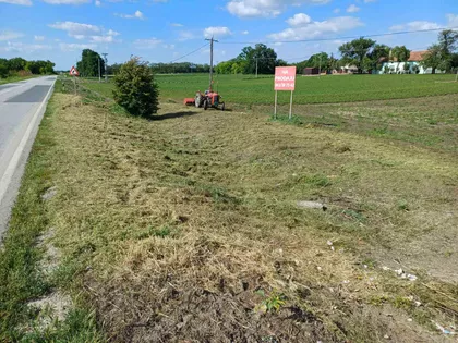 Međunarodni Put | 4zida.rs