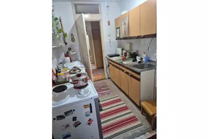Dubočica | 4zida.rs
