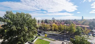 Partizanske avijacije