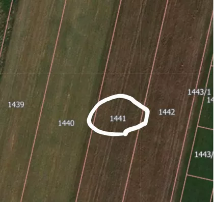 Đure Jakšića | 4zida.rs