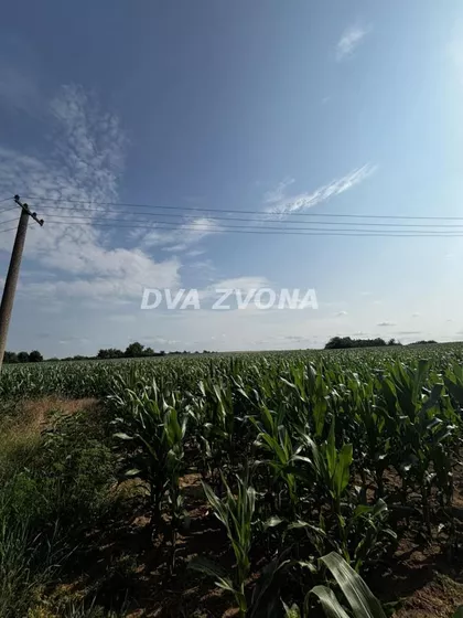 Čortanovci | 4zida.rs