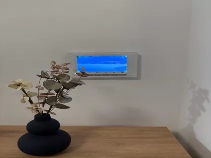 Lajoša Joa 41 | 4zida.rs