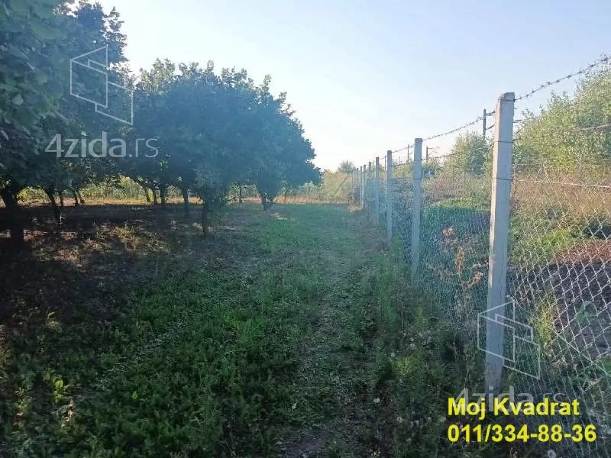 Plac | 4zida