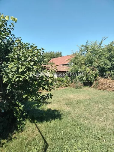 Stara Selenča