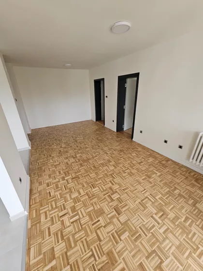 Cara Dušana | 4zida.rs