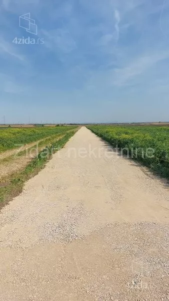Poljoprivredno zemljište | 4zida