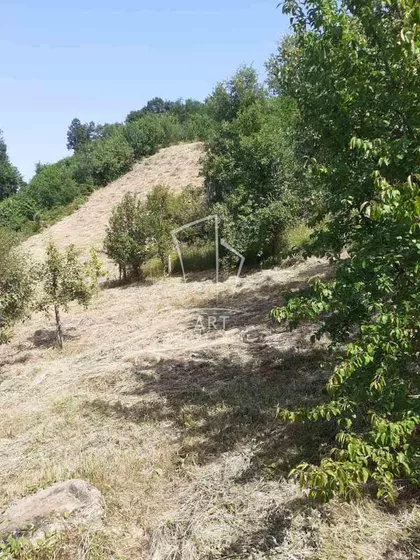 Put za pećinu | 4zida.rs