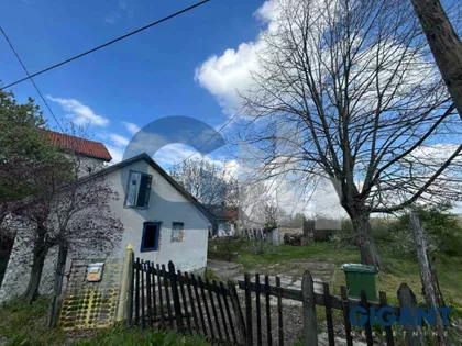 Afi Ekong | 4zida.rs