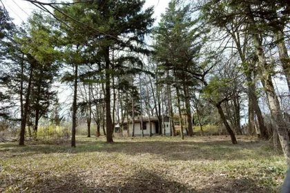 Parloška Kosa | 4zida.rs