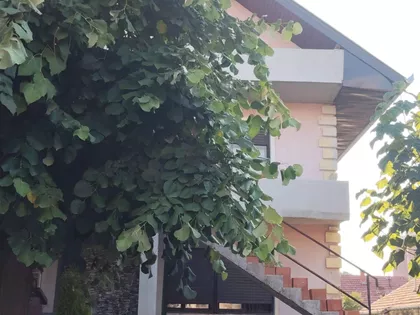 Pejton | 4zida.rs