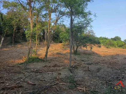 Artiljevo | 4zida.rs