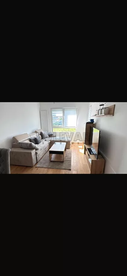 Miodraga Vlajića Šuke | 4zida.rs