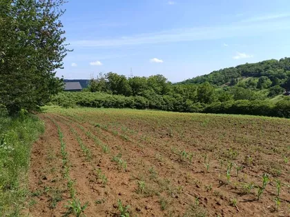 Kameničke Livade | 4zida.rs