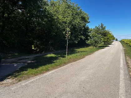 Jarkovci | 4zida.rs