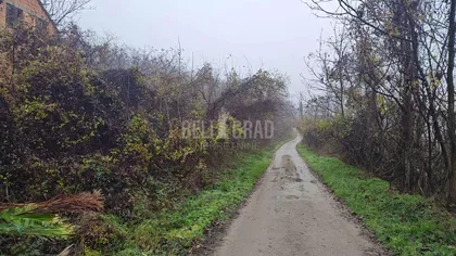 Srpsko-grčkog prijateljstva | 4zida.rs