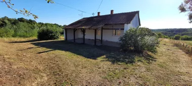 Barzilovica