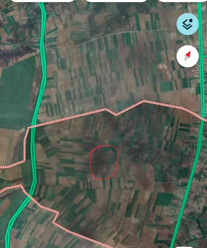 Petra Drapšina | 4zida.rs