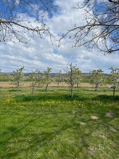 Poljoprivredno zemljište | 4zida