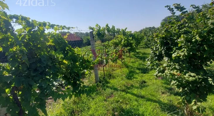 Poljoprivredno zemljište | 4zida