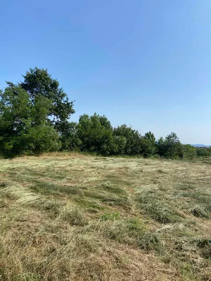 Jakova Nenadovica | 4zida.rs