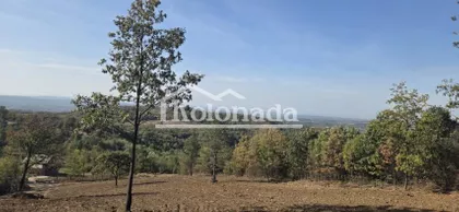 Rogača | 4zida.rs