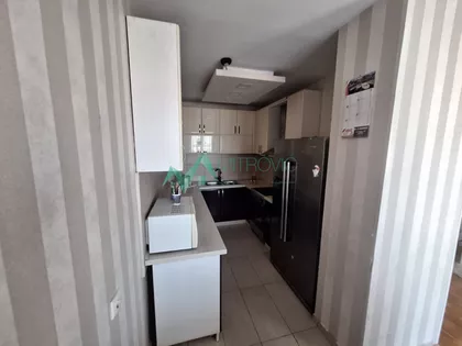 Liman 3 | 4zida.rs