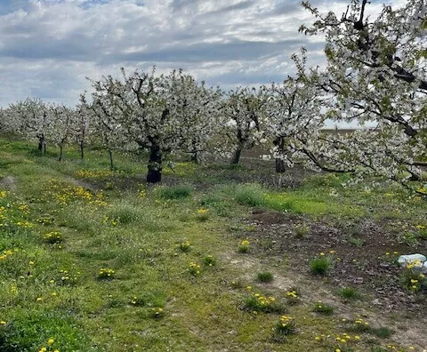 Poljoprivredno zemljište | 4zida