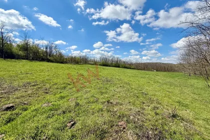 Put za Markoviće | 4zida.rs