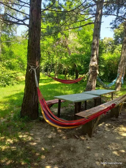 Lipov gaj | 4zida.rs