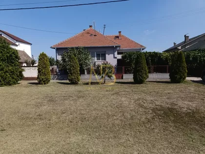 Vuka Karadžića | 4zida.rs