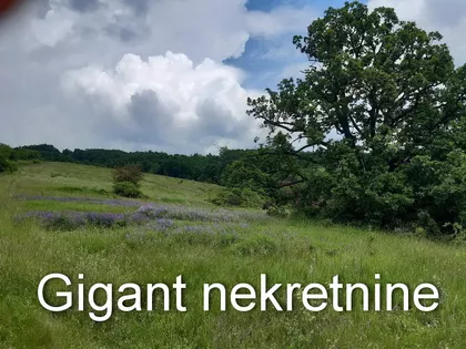 Gradske lokacije | 4zida.rs