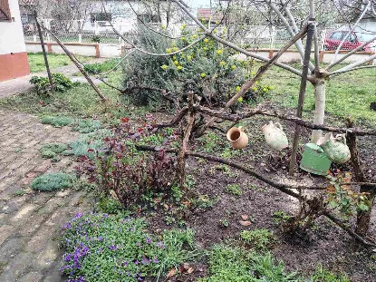 Dragutina Matića | 4zida.rs