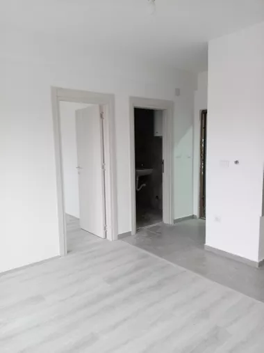 Joce Jovanovića Šapčanina