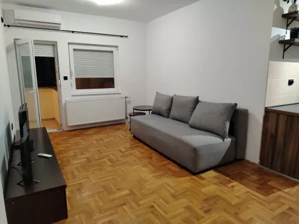 Dr Svetislava Kasapinovića | 4zida.rs