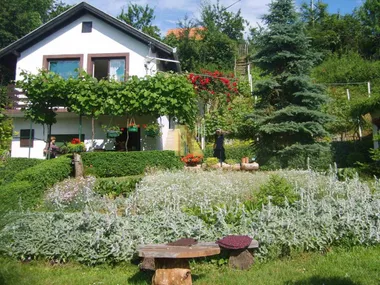 Sremska Kamenica