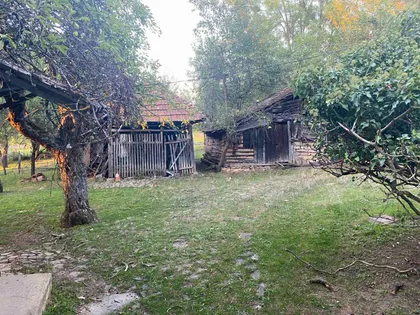 Carice Milice | 4zida.rs