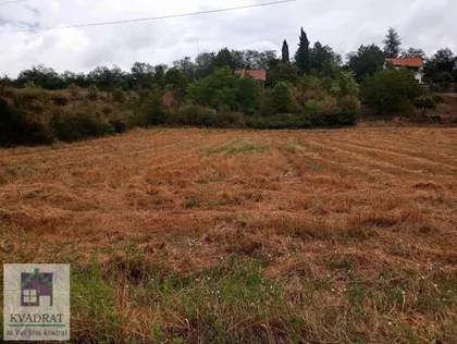 Mislođin | 4zida.rs